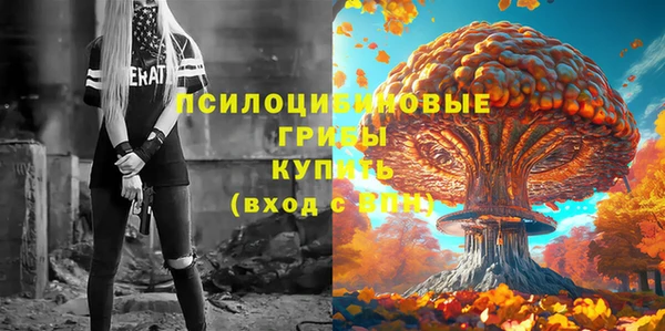 прущие крисы Абинск