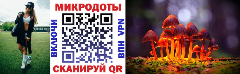 Псилоцибиновые грибы мухоморы  hydra   Иланский 